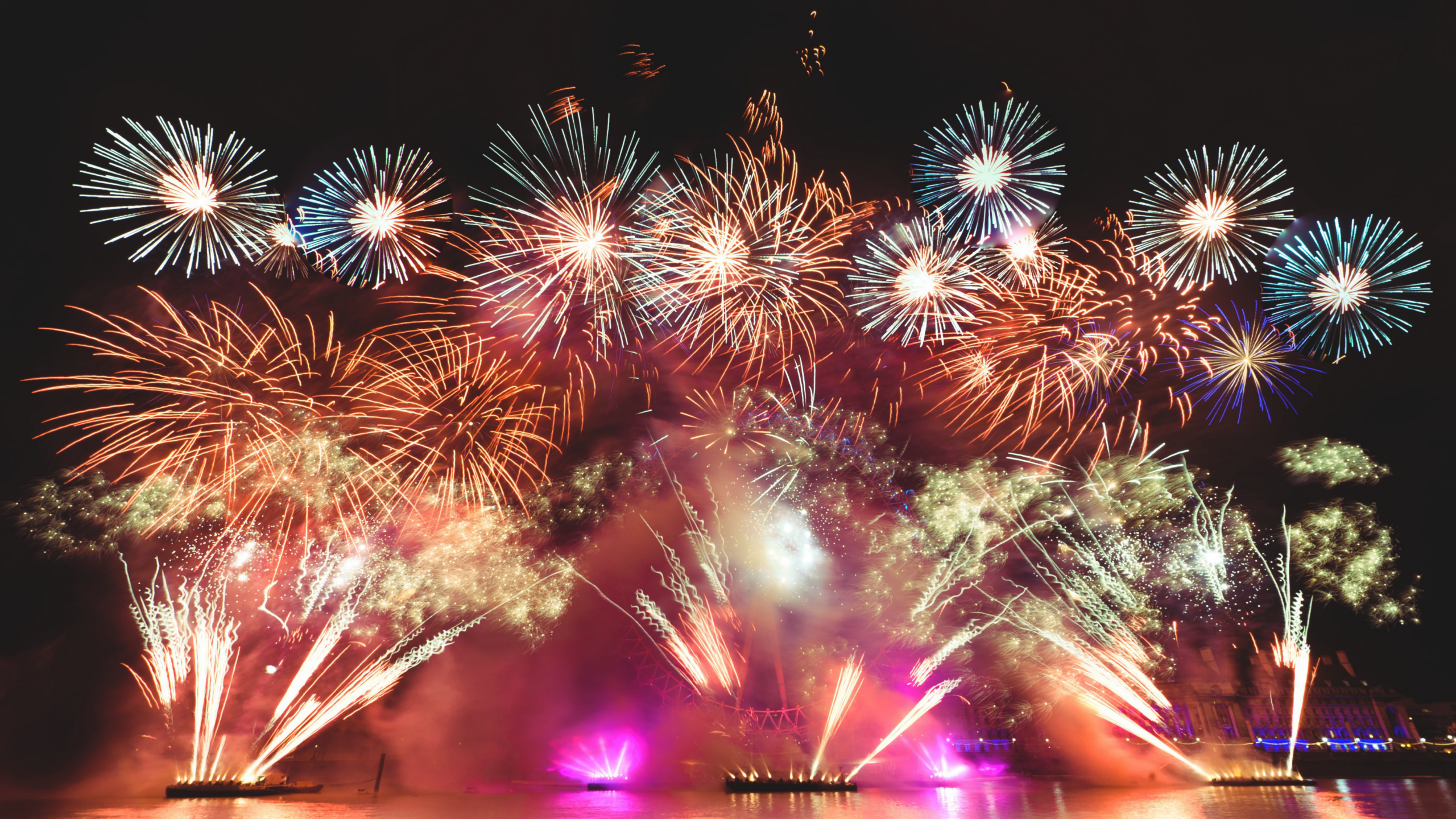 Dez dicas para proteger seu cachorro dos fogos de artifício no fim de ano